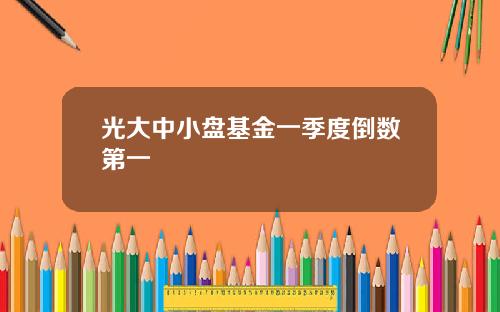 光大中小盘基金一季度倒数第一