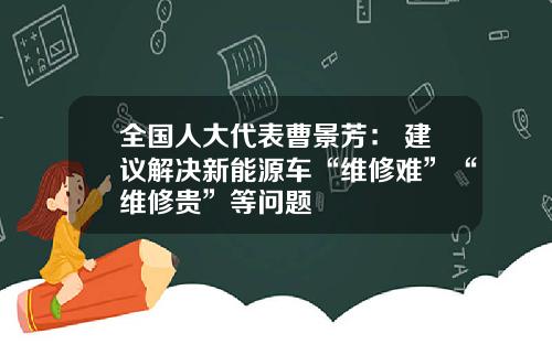 全国人大代表曹景芳: 建议解决新能源车“维修难”“维修贵”等问题