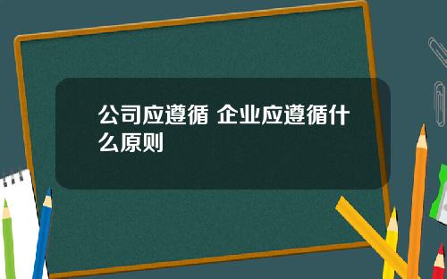 公司应遵循 企业应遵循什么原则