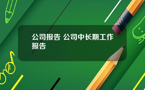 公司报告 公司中长期工作报告