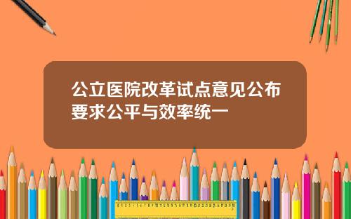 公立医院改革试点意见公布要求公平与效率统一