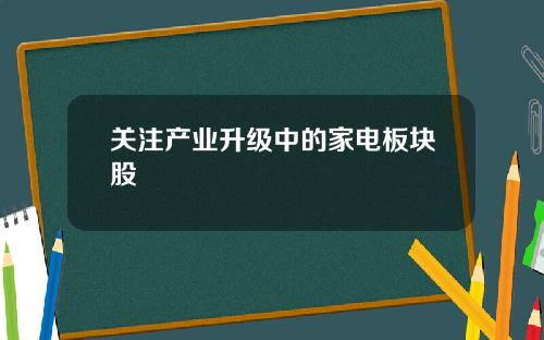 关注产业升级中的家电板块股