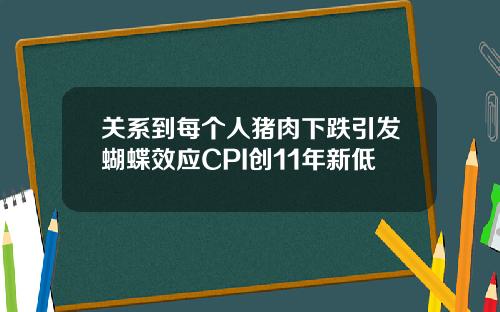 关系到每个人猪肉下跌引发蝴蝶效应CPI创11年新低