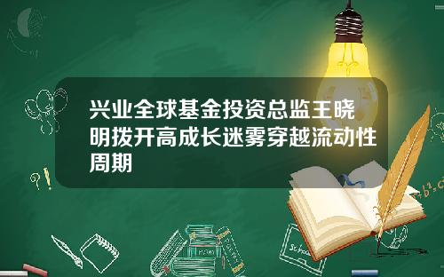 兴业全球基金投资总监王晓明拨开高成长迷雾穿越流动性周期