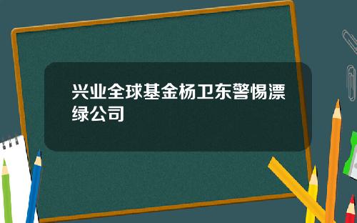 兴业全球基金杨卫东警惕漂绿公司