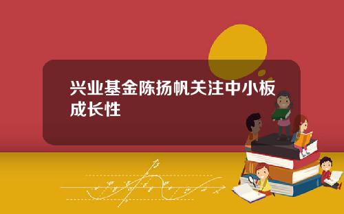 兴业基金陈扬帆关注中小板成长性