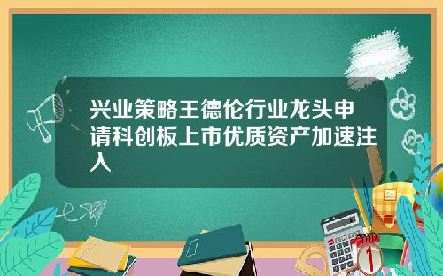 兴业策略王德伦行业龙头申请科创板上市优质资产加速注入
