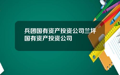 兵团国有资产投资公司兰坪国有资产投资公司
