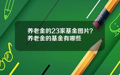 养老金的23家基金图片?养老金的基金有哪些