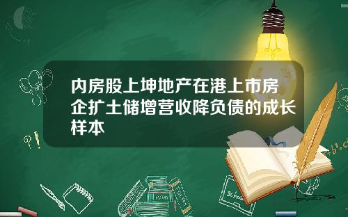 内房股上坤地产在港上市房企扩土储增营收降负债的成长样本