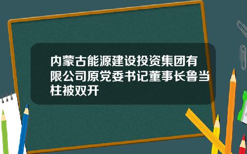 内蒙古能源建设投资集团有限公司原党委书记董事长鲁当柱被双开