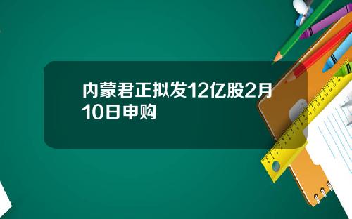 内蒙君正拟发12亿股2月10日申购