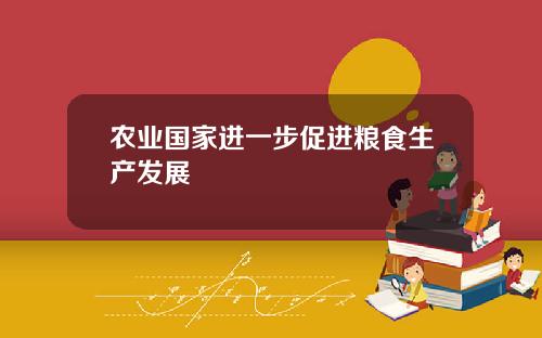 农业国家进一步促进粮食生产发展