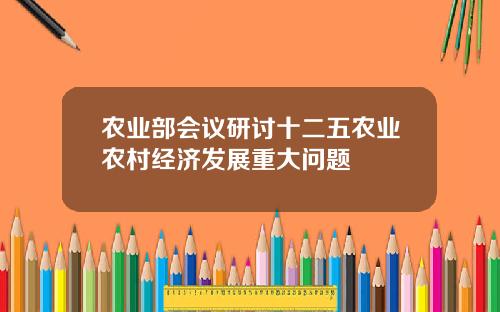 农业部会议研讨十二五农业农村经济发展重大问题