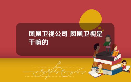 凤凰卫视公司 凤凰卫视是干嘛的