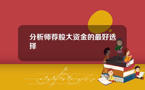 分析师荐股大资金的最好选择