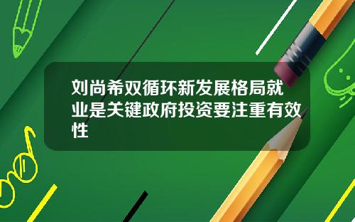 刘尚希双循环新发展格局就业是关键政府投资要注重有效性