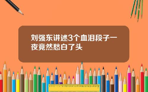 刘强东讲述3个血泪段子一夜竟然愁白了头