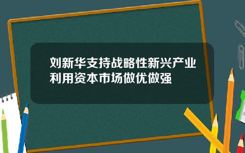 刘新华支持战略性新兴产业利用资本市场做优做强