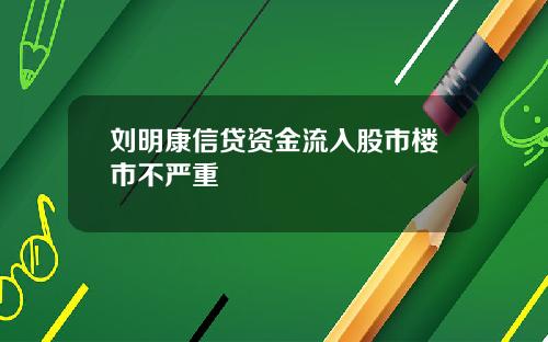 刘明康信贷资金流入股市楼市不严重