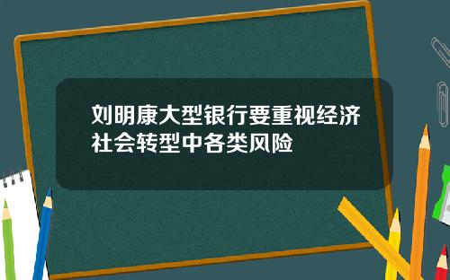 刘明康大型银行要重视经济社会转型中各类风险
