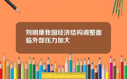 刘明康我国经济结构调整面临外部压力加大