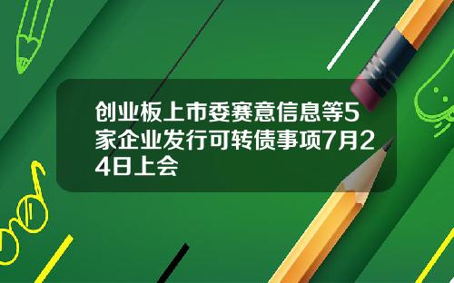 创业板上市委赛意信息等5家企业发行可转债事项7月24日上会