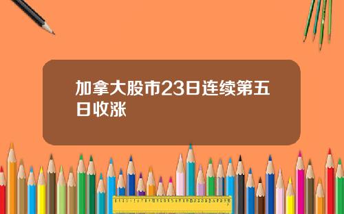 加拿大股市23日连续第五日收涨