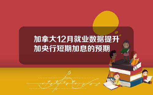 加拿大12月就业数据提升加央行短期加息的预期