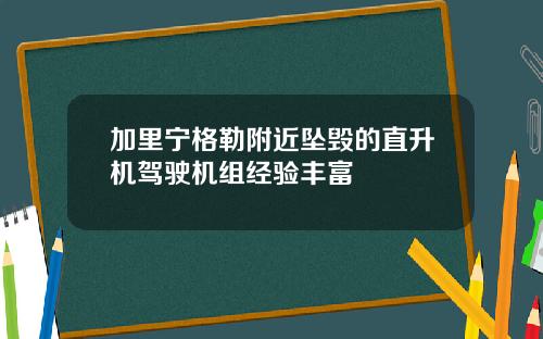加里宁格勒附近坠毁的直升机驾驶机组经验丰富
