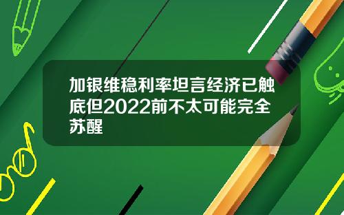 加银维稳利率坦言经济已触底但2022前不太可能完全苏醒