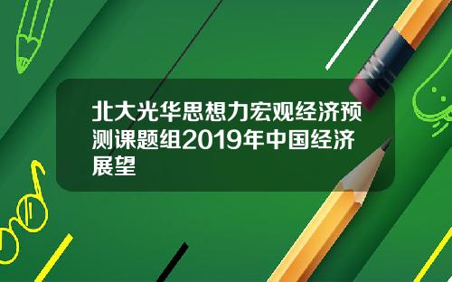 北大光华思想力宏观经济预测课题组2019年中国经济展望