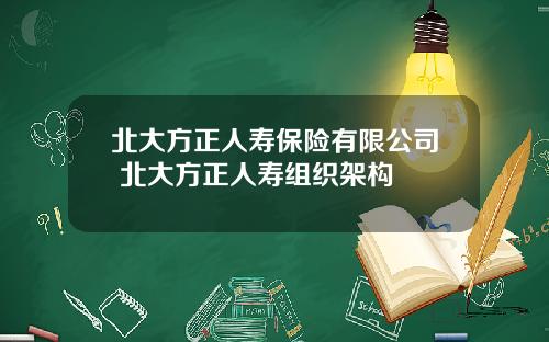 北大方正人寿保险有限公司 北大方正人寿组织架构