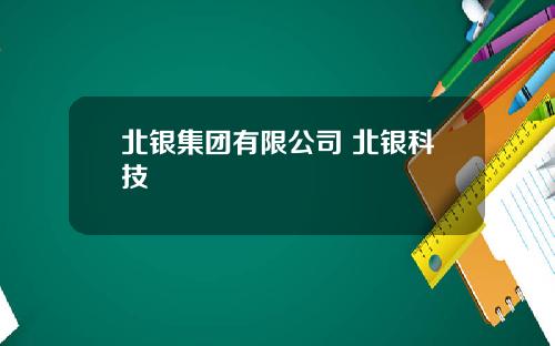 北银集团有限公司 北银科技