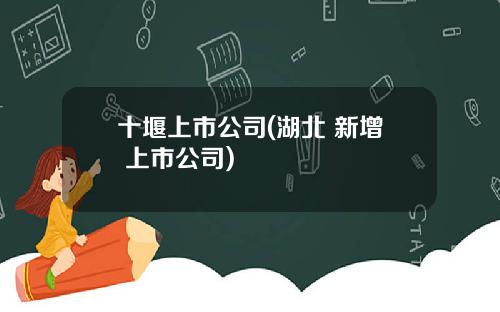 十堰上市公司(湖北 新增 上市公司)