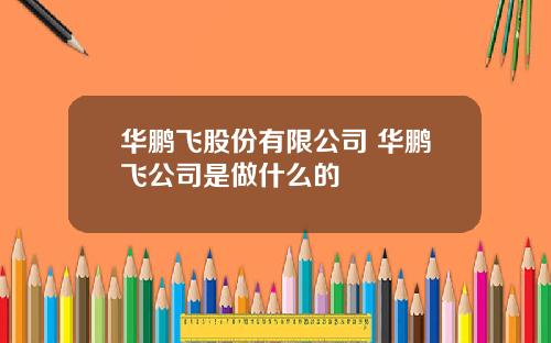华鹏飞股份有限公司 华鹏飞公司是做什么的