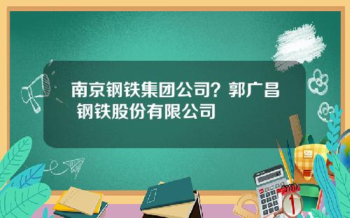 南京钢铁集团公司?郭广昌 钢铁股份有限公司