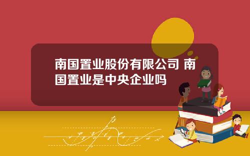 南国置业股份有限公司 南国置业是中央企业吗