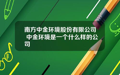 南方中金环境股份有限公司 中金环境是一个什么样的公司