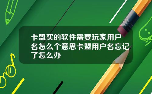 卡盟买的软件需要玩家用户名怎么个意思卡盟用户名忘记了怎么办