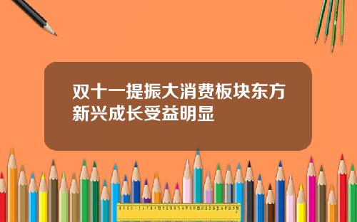 双十一提振大消费板块东方新兴成长受益明显