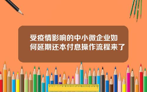 受疫情影响的中小微企业如何延期还本付息操作流程来了