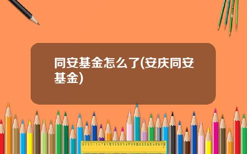 同安基金怎么了(安庆同安基金)