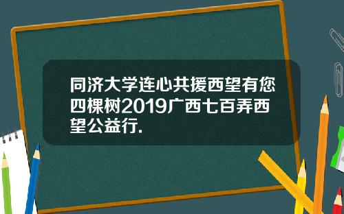 同济大学连心共援西望有您四棵树2019广西七百弄西望公益行.