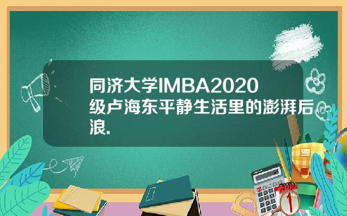 同济大学IMBA2020级卢海东平静生活里的澎湃后浪.