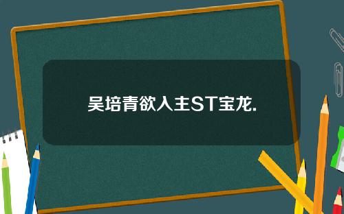 吴培青欲入主ST宝龙.