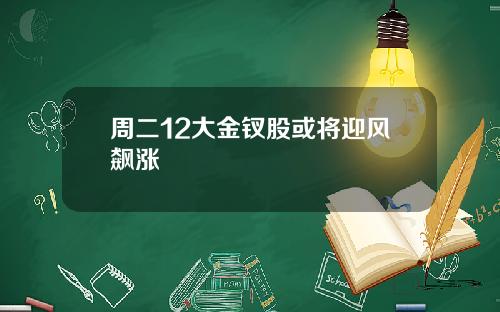 周二12大金钗股或将迎风飙涨