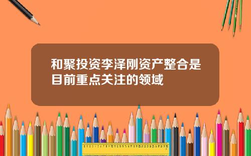 和聚投资李泽刚资产整合是目前重点关注的领域