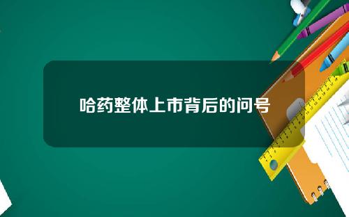 哈药整体上市背后的问号