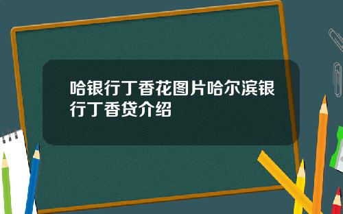 哈银行丁香花图片哈尔滨银行丁香贷介绍